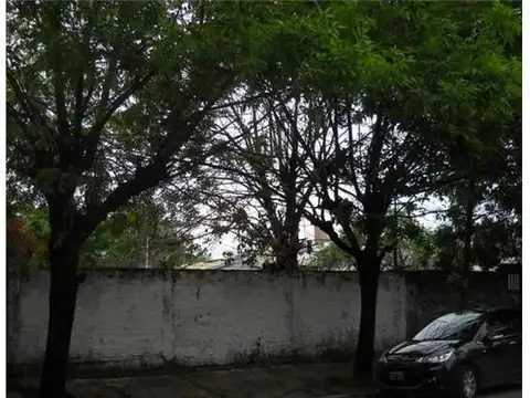 Arturo Ilia  Al 300  100