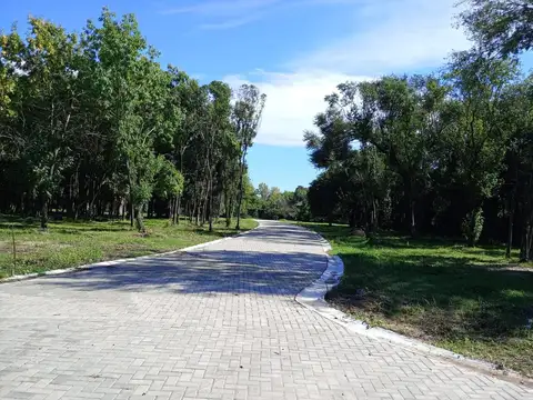  LOTE DE 480M2 -ALTOS DE SAN CARLOS -PABLO NOGUES 