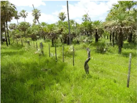 Ruta Provincial N°14 1000