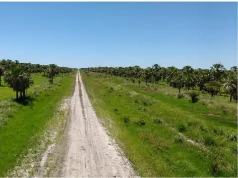 Ruta Provincial N°14 1000