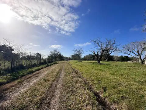 Terreno en Venta de 859,0 m2