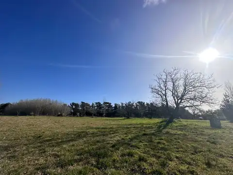 Terreno en Venta en General Madariaga, USD 22.500