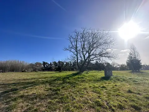 Terreno en Venta de 859,0 m2