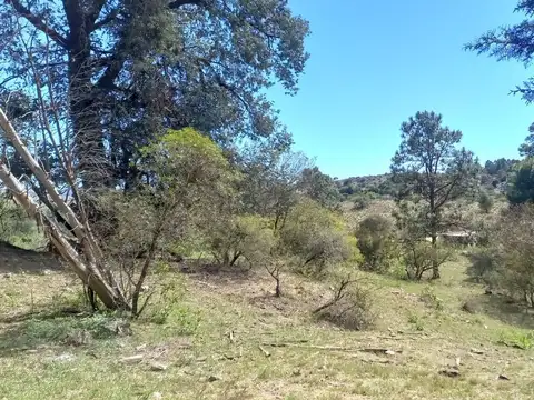 Villa Ciudad de América, Camino provincial a José de la Quintana