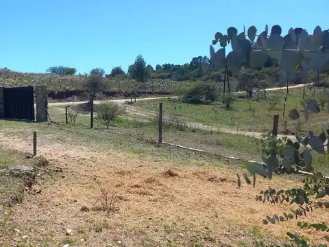 Villa Ciudad de América, Camino provincial a José de la Quintana