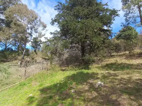 VENTA DE TERRENO EN CIUDAD DE AMERICA