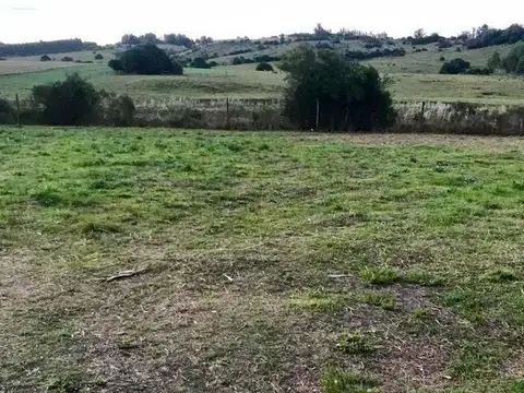 Las Torcazas esquina el Benteveo 100