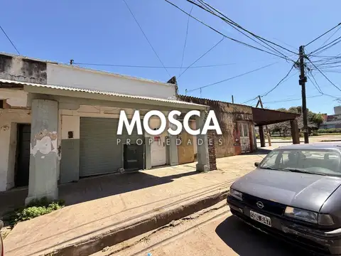Zoccola  45