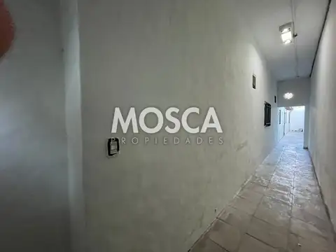 Zoccola  45