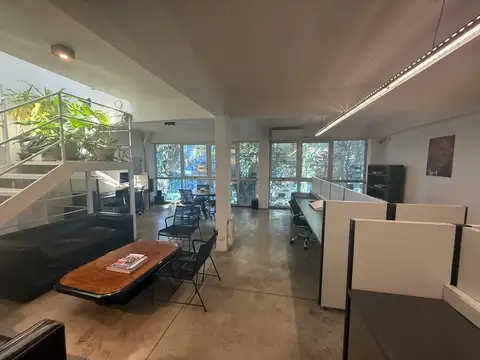 Dorrego 300