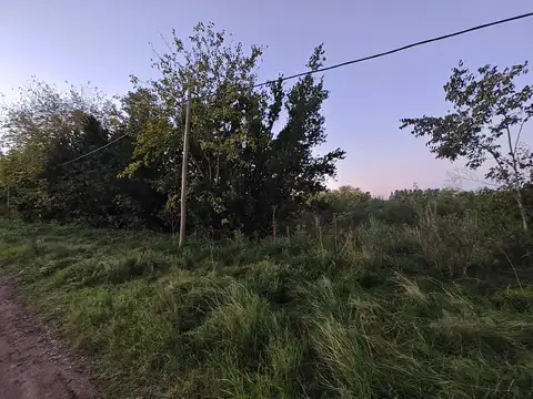 Terreno en  venta en Virrey del PIno