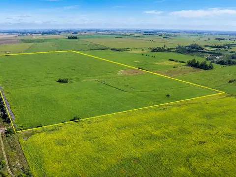 Campo en Venta en Exaltacion de la Cruz, Partido de Exaltación de la Cruz