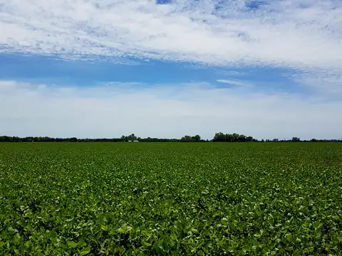Campo en Venta de 86  ha