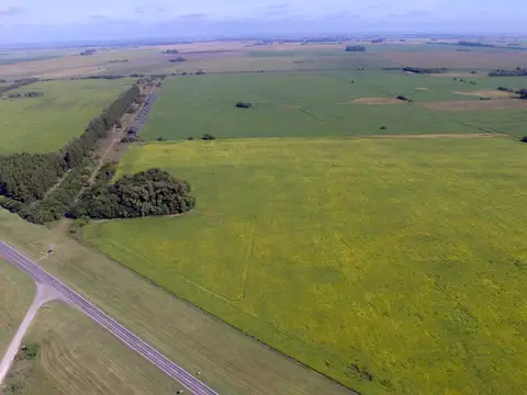 Campo en Venta Agrícola