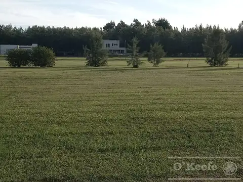 Terreno en Venta 59  mts Frente