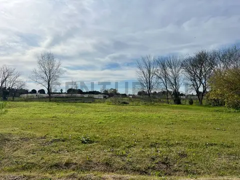 Terreno en Venta en City Bell, USD 60.000