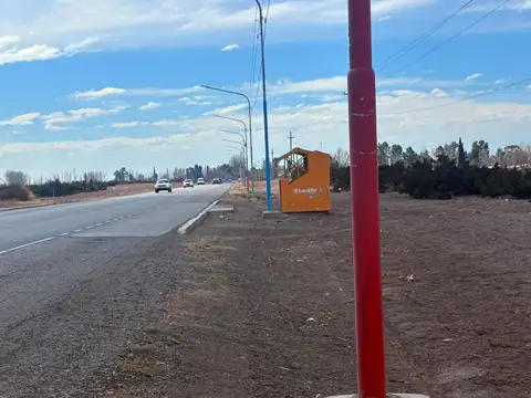 Campo en Venta en Las Violetas, Lavalle