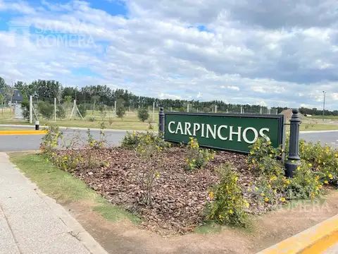 Terreno en venta en esquina Carpinchos Nordelta