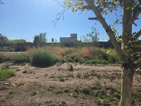 EXCELENTE LOTE PARA INVERSION