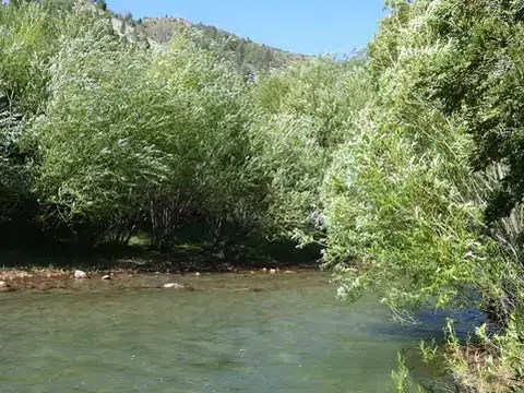 Campo en Venta de 200  ha