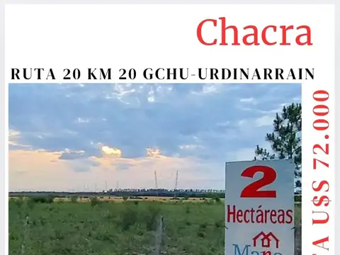 Chacra.2 has. 133 metros de frente a Ruta N° 20.