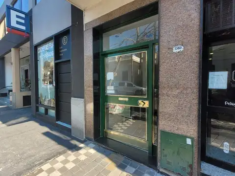 Leandro N. Alem 1500