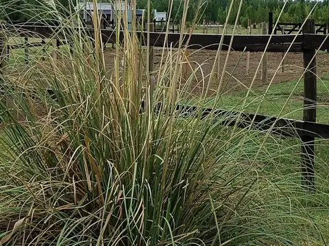 Venta Terreno Country Rural