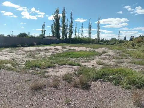 BUEN ORDEN Y SOLOA
