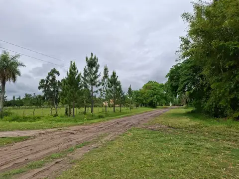 Rivadavia 100