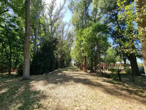 VENTA CAMPO VILLA RUIZ S A DE GILES RURAL TURISMO