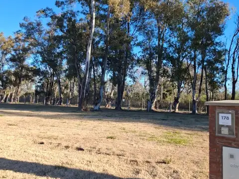 Terreno En Venta Pilar Del Este