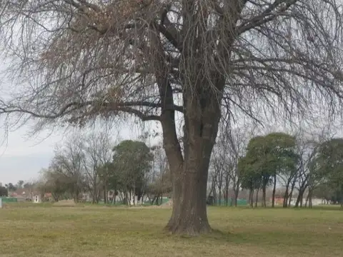 Terreno en Venta 15  mts Frente