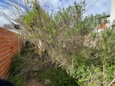 Terreno en Venta 11  mts Fondo