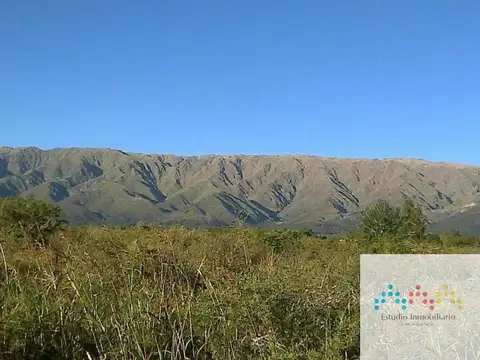 Terreno / Lote en venta en Cerro de Oro