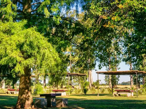 Terreno Lote en venta, Tres Pinos Villa De Campo