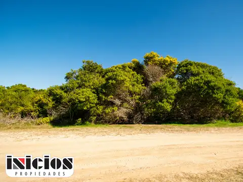 PUNTA MEDANOS 100