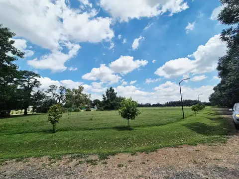 Terreno en Venta de 1293,0 m2