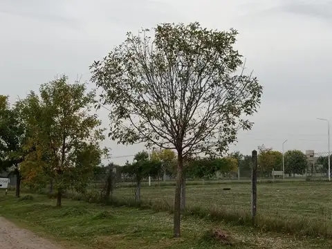 Terreno en Venta de 518,0 m2
