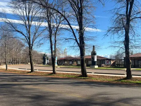 Terreno en Venta Vista Flores Tunuyán | 2.000 m² con Vista al Cordon del Plata.