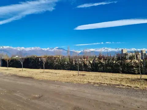 Terreno en Venta Vista Flores Tunuyán | 2.000 m² con Vista al Cordon del Plata.
