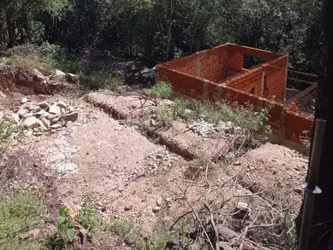 Carlos Pellegrini 100