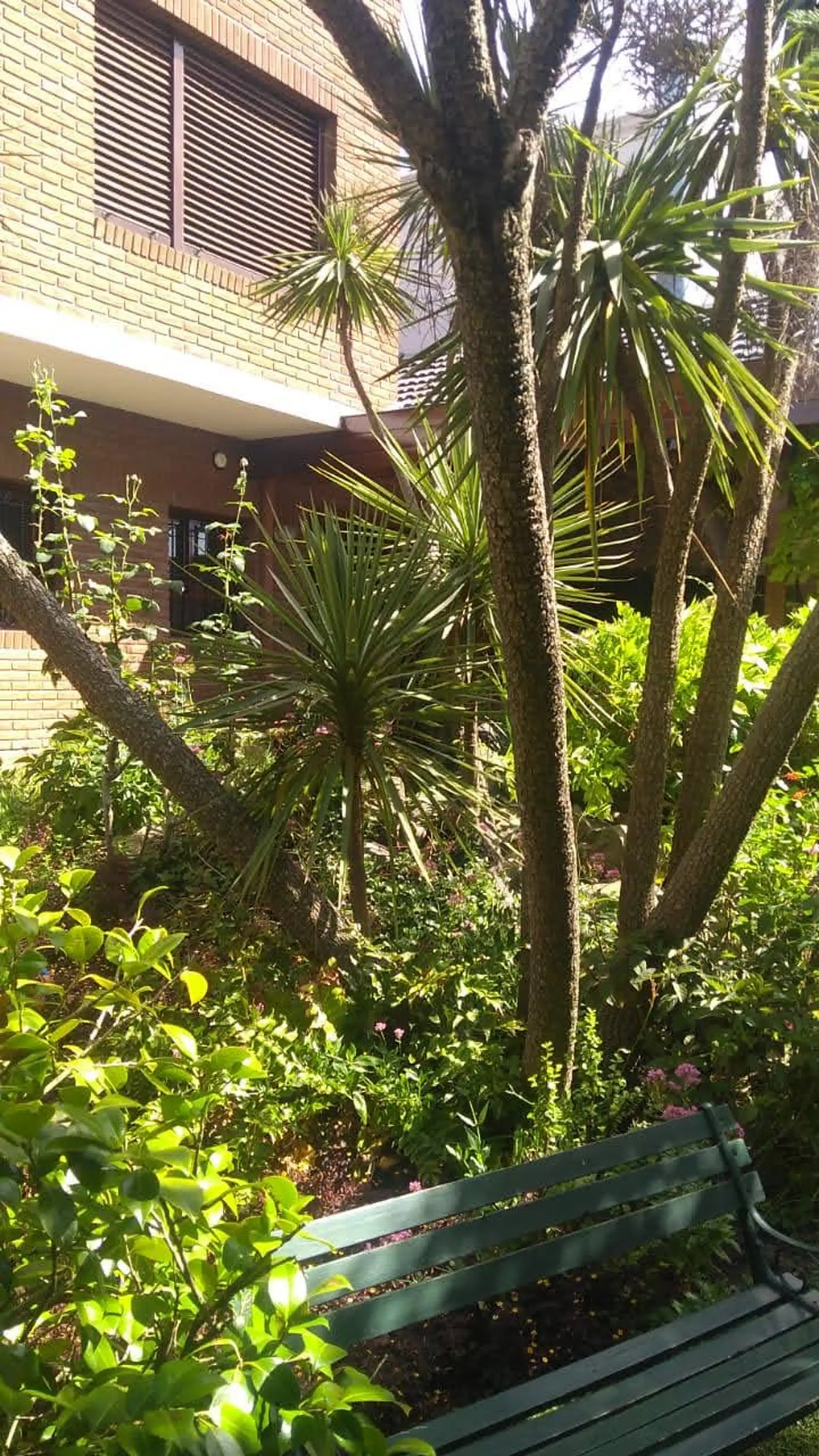 SAN CARLOS - Gran Chalet sobre lote de 680 m2. y 350 m2 cubiertos. 3 dorm, 2 baños, 2 toilettes, cochera doble. Quincho