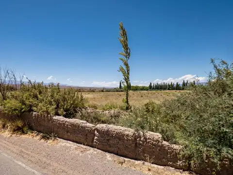 Terreno en Venta de 5730,0 m2