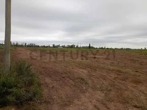 Terreno en Venta de 300,0 m2