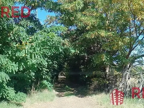 Terreno en Venta en Senillosa, USD 260.000