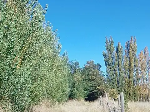 Terreno en Venta en Senillosa, USD 398.000