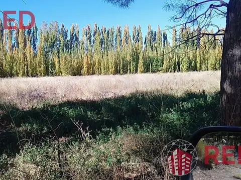 Senillosa