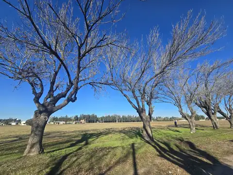 Zona Urbana