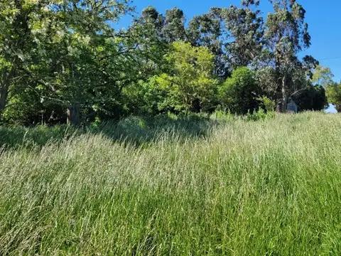 Terreno en Venta de 221,0 m2