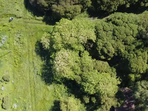 Terreno en Venta en Mar Del Sud, USD 5.000